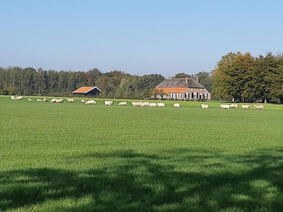 Joostink In Ferienhaus *